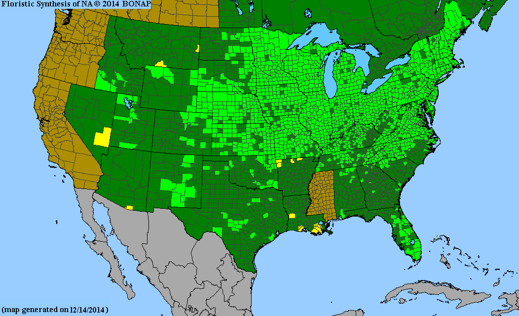 County distribution map of Asclepias incarnata - Swamp Milkweed